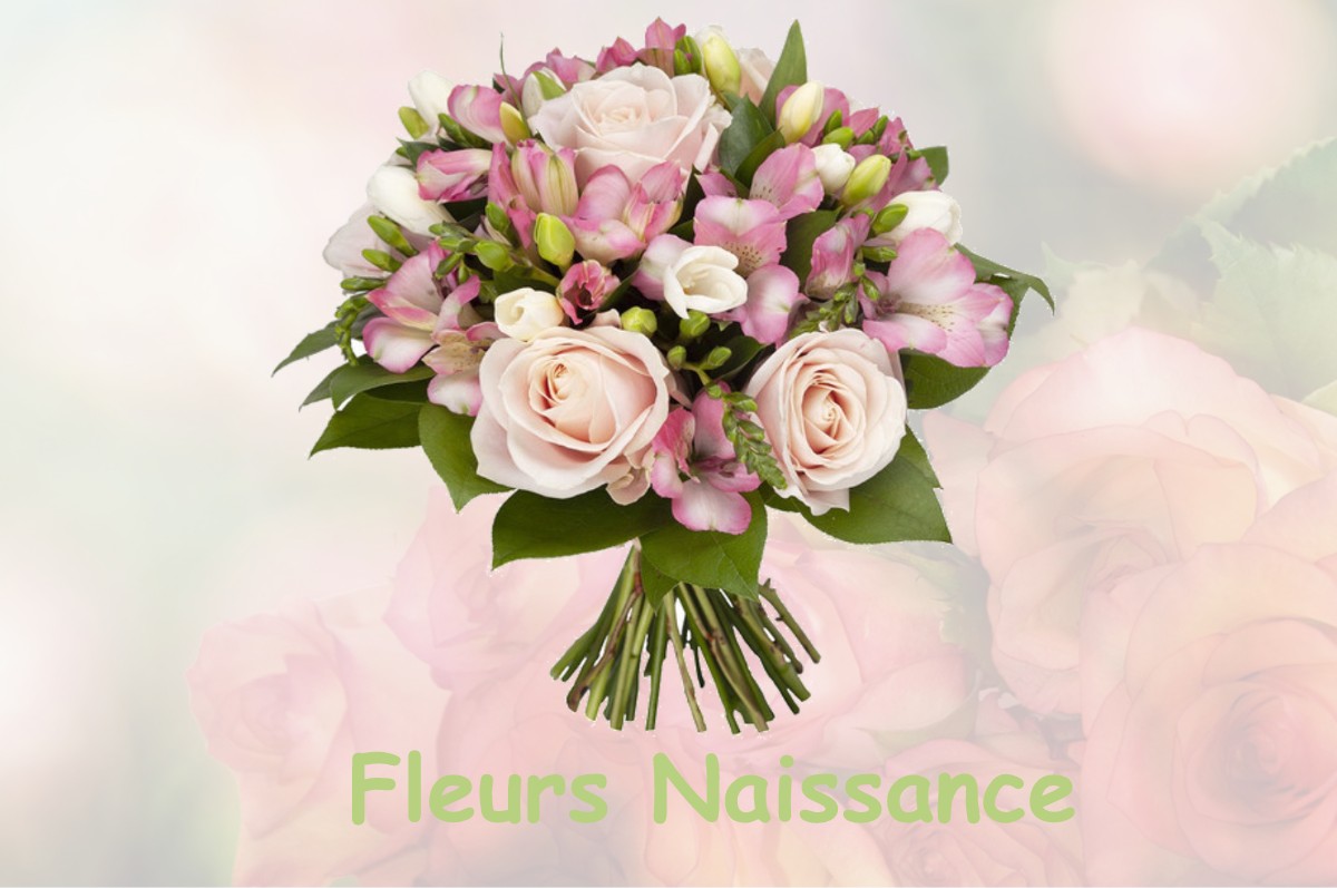 fleurs naissance BESSIERES