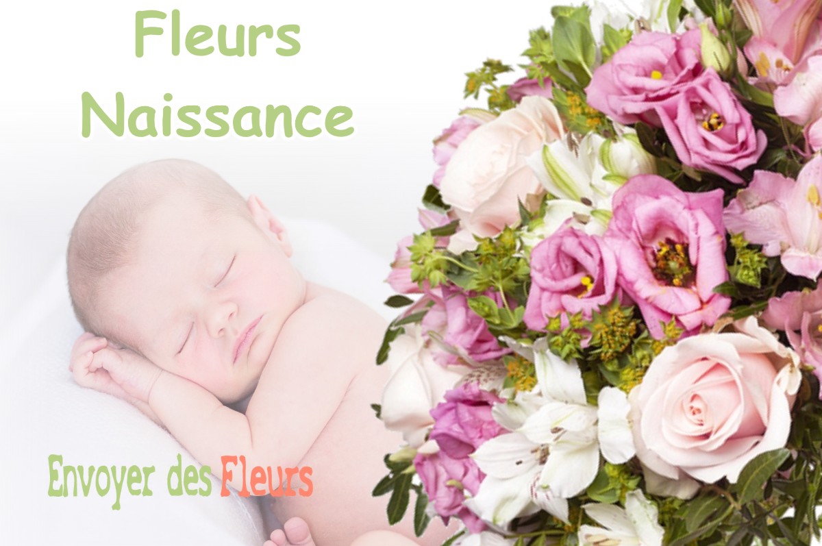 lIVRAISON FLEURS NAISSANCE à BESSIERES